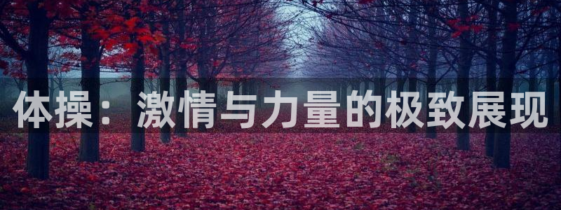 米兰体育app：体操：激情与力量的极致展现