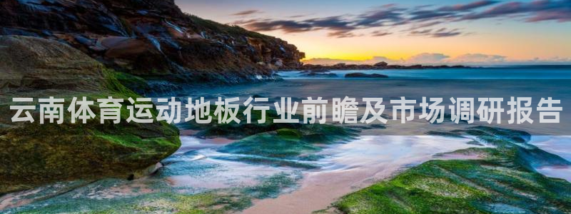 米兰体育平台：云南体育运动地板行业前瞻及市场调研报告