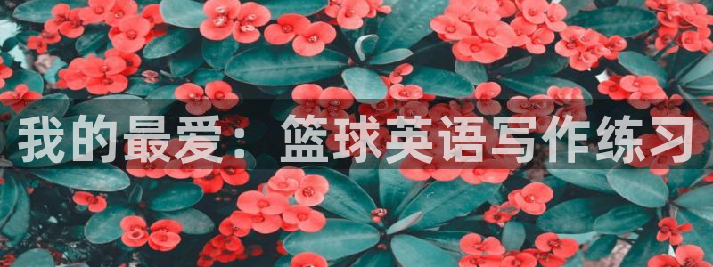 米兰体育app下载：我的最爱：篮球英语写作练习
