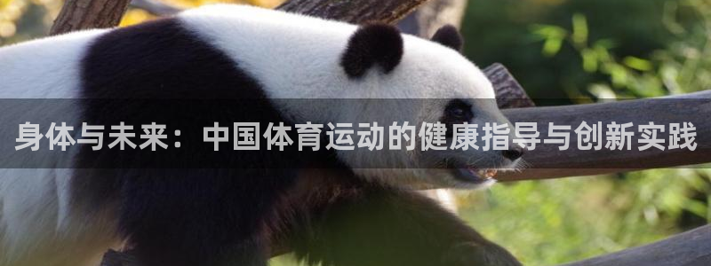米兰体育官网：身体与未来：中国体育运动的健康指导与创新实践